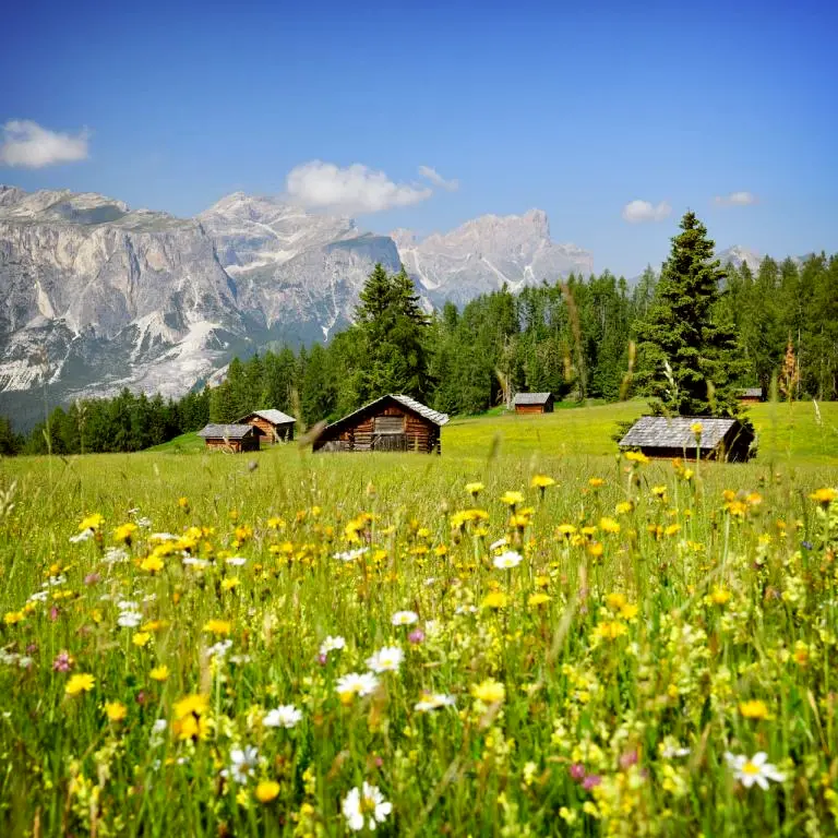Titelbild für Willkommen in Südtirol…